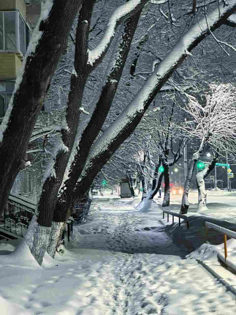 Благовещенск