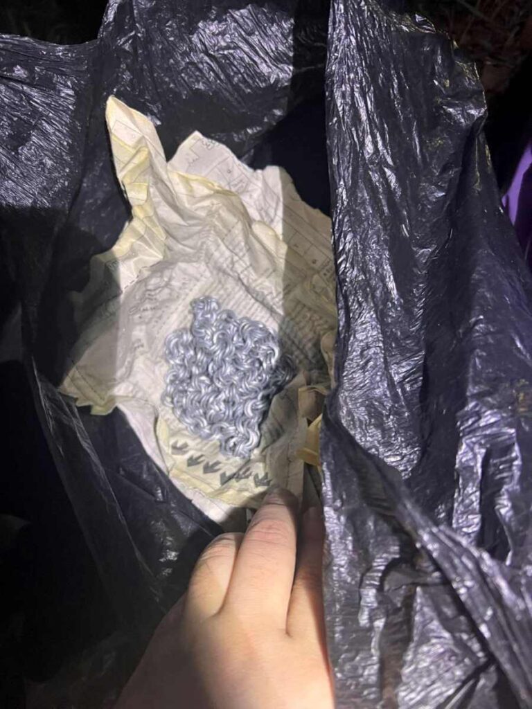 У амурчанина нашли «бижутерию» за девять миллионов рублей