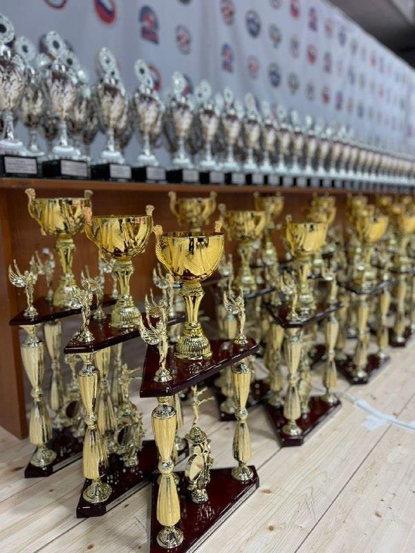 Юная каратистка из Приамурья стала первой в Казани