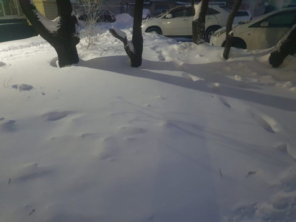 Снег