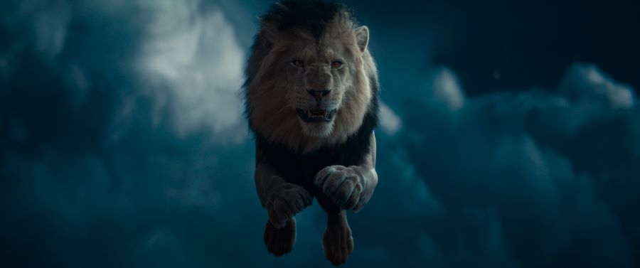 Фото: Пресс-служба «Централ Партнершип»