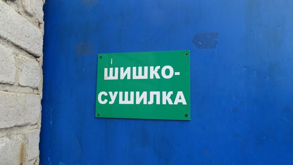 Сушка шишек