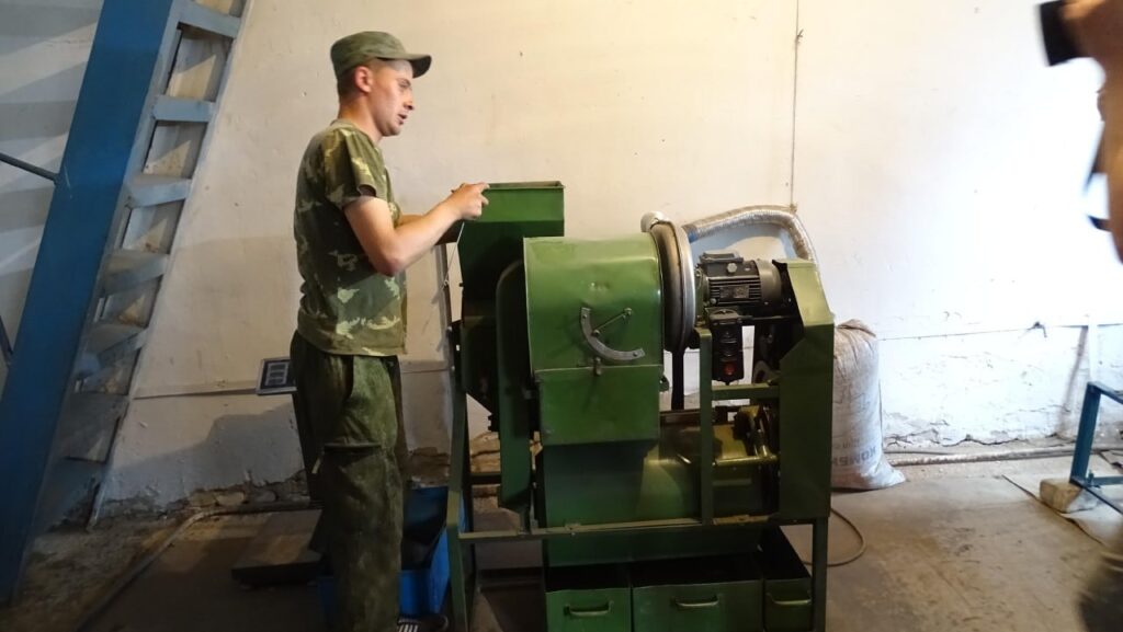 Сушка шишек