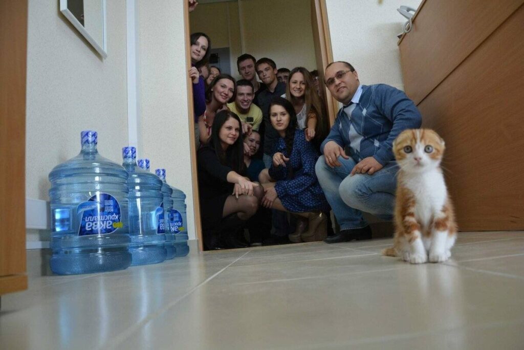 откуда взялись приметы, суеверия, значения примет, происхождение примет, откуда взялись приметы, популярные приметы, приметы и их значение