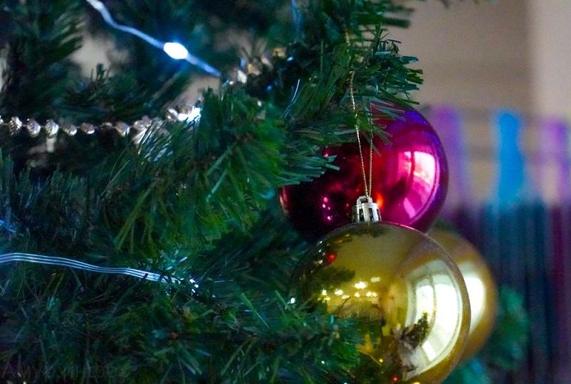 Власти Бельгии призвали жителей не есть рождественские ёлки 