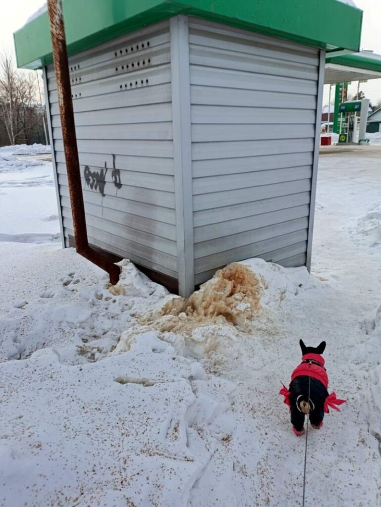 туалет под окном