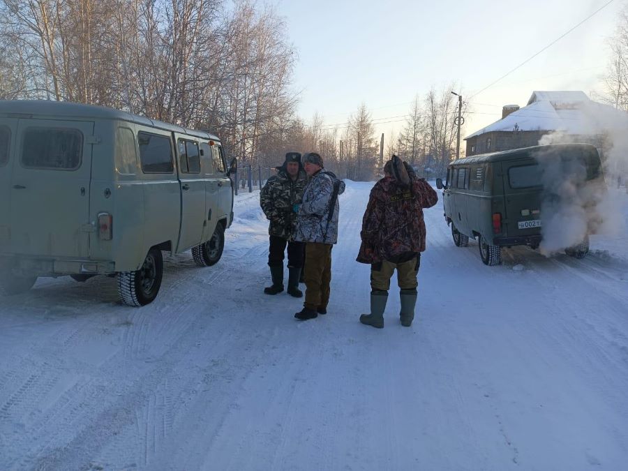 Волков, терроризирующих жителей Приамурья, отогнали в лес