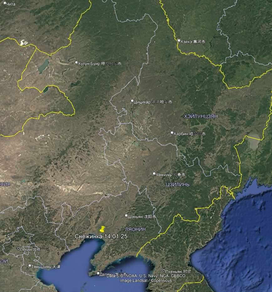 Китайские орнитологи рассказали, как проходит зимовка амурской Снежинки