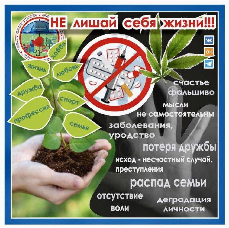 инфографика