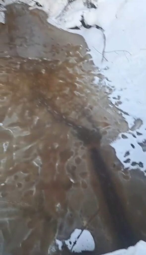 Улицы в канализационных стоках: жители Завитинска жалуются на очередной потоп