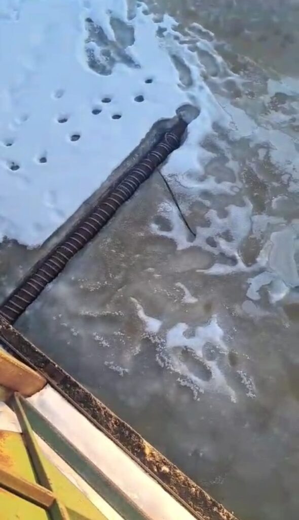 Улицы в канализационных стоках: жители Завитинска жалуются на очередной потоп