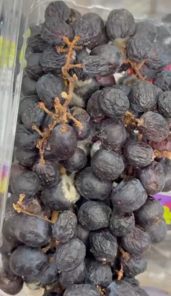 Гниль и плесень за 10 рублей: благовещенку напугал виноград в местном супермаркете