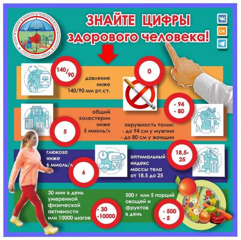 инфографика