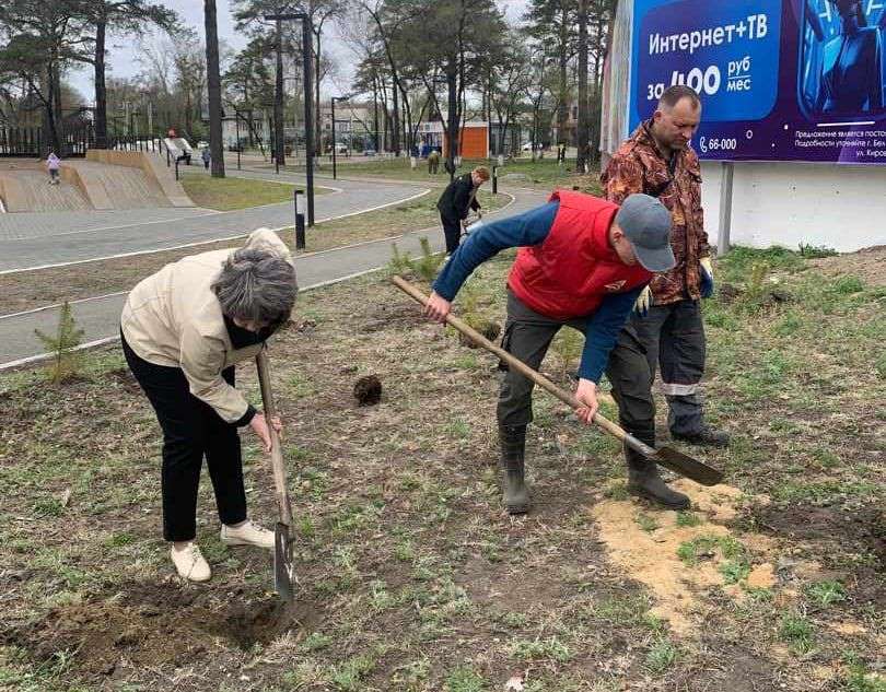 Первый маленький, а второй – неухоженный: жители Белогорска недовольны местными парками