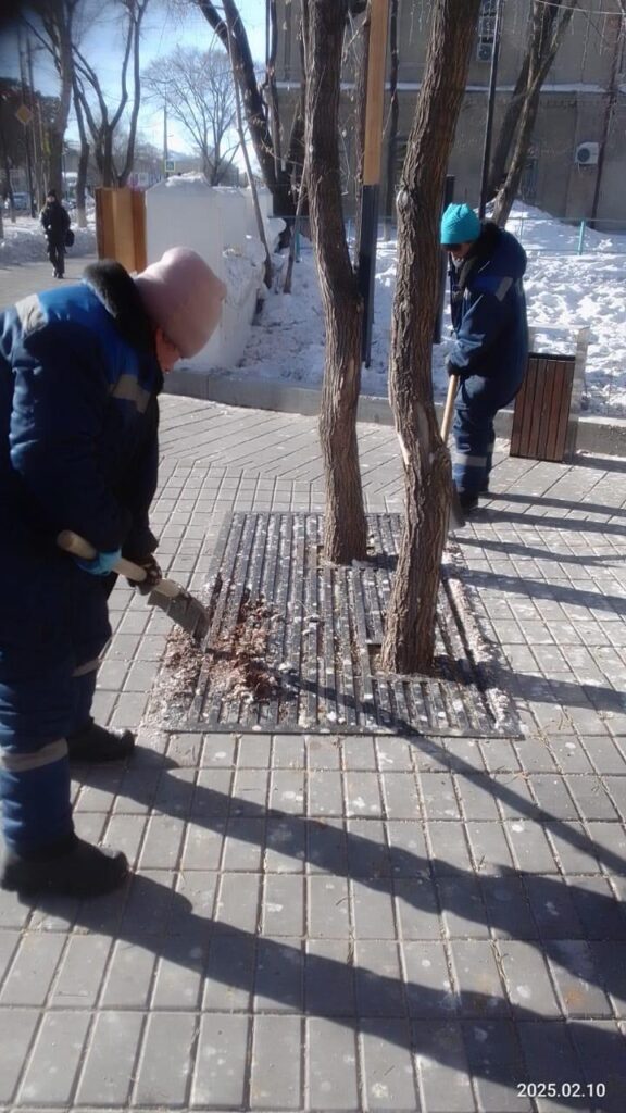В Благовещенске почистили сквер, который облюбовали птицы