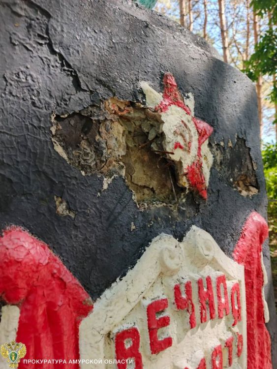 В амурском селе детский вандализм обошелся родителям в круглую сумму