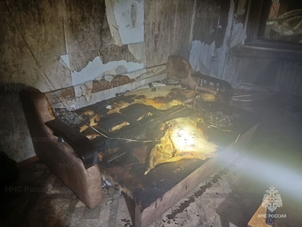 Фото: ГУ МЧС России по Амурской области