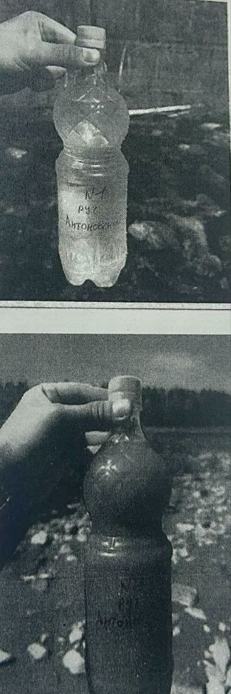 Экосистеме одного из районов Приамурья был нанесен многомиллионный ущерб