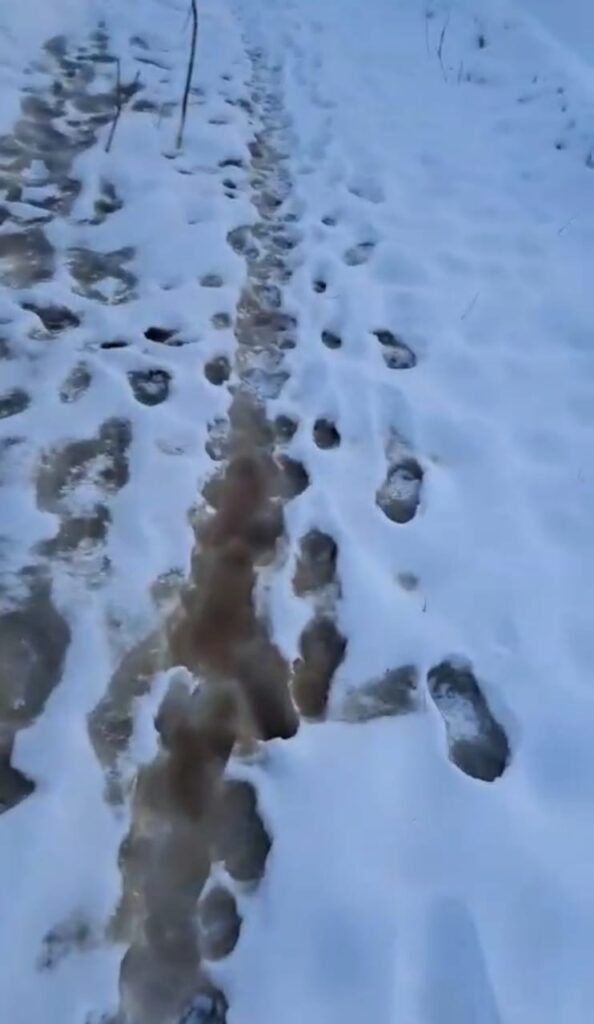 Улицы в канализационных стоках: жители Завитинска жалуются на очередной потоп