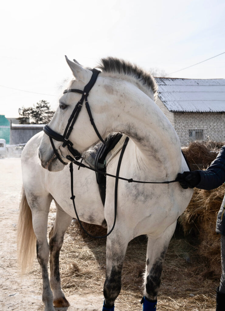 как прошли гонки в Благовещенске – репортаж Амур.инфо