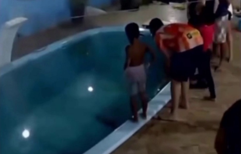 Мальчик столкнул старшего брата в бассейн с крокодилом