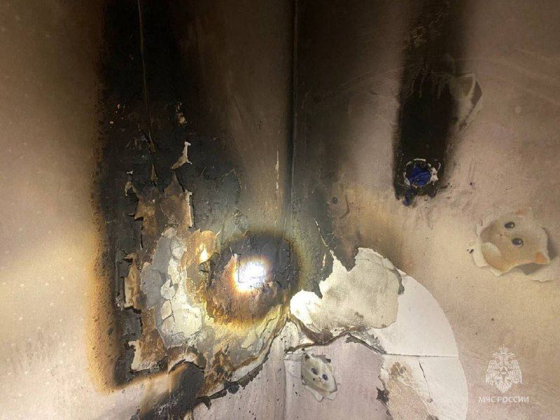 Мультфильмы спасли жизнь трём маленьким амурчанам