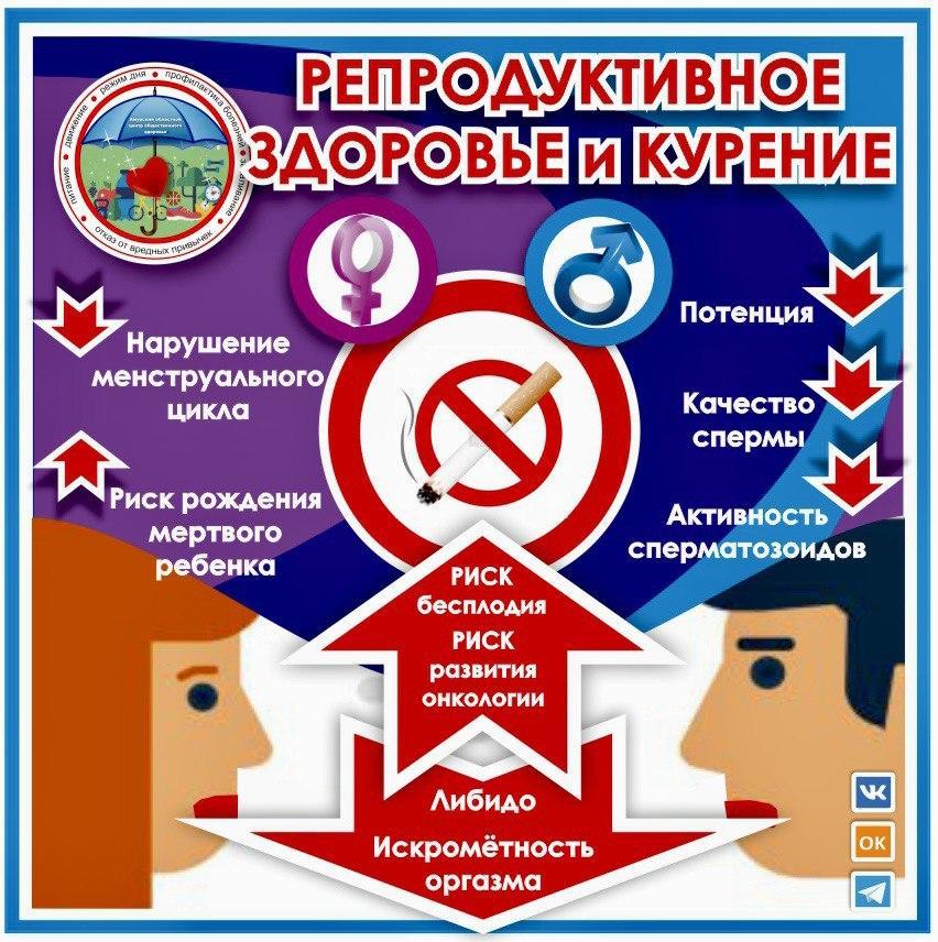 инфографика