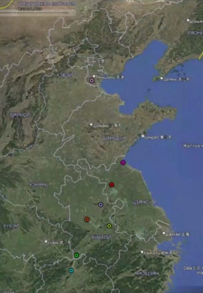 Дальневосточные аисты держат путь в Амурскую область