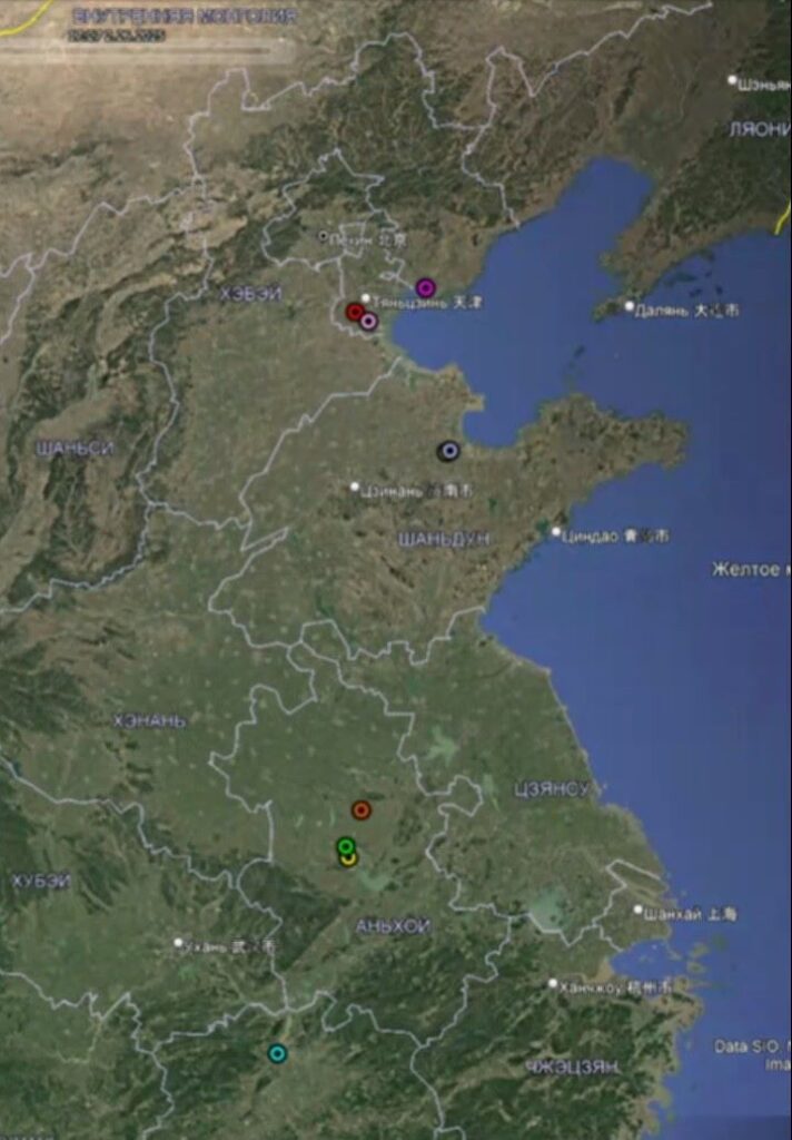 Дальневосточные аисты держат путь в Амурскую область