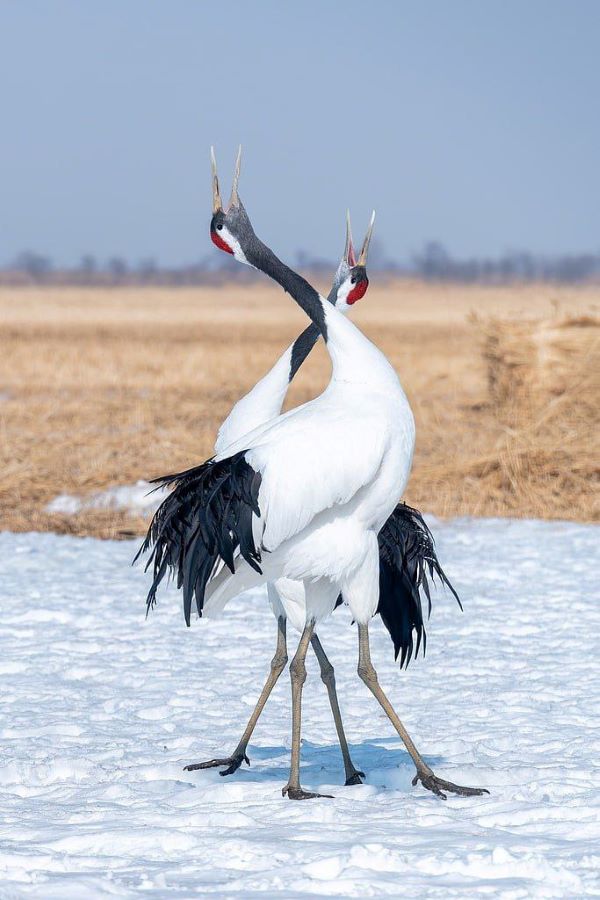 Фото: телеграм-канал Антона Сасина