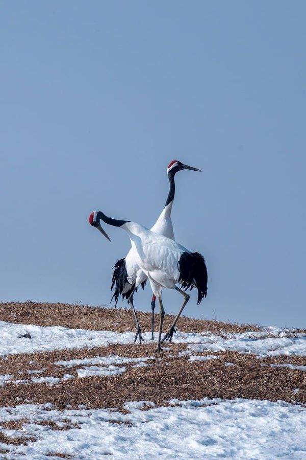 Фото: телеграм-канал Антона Сасина