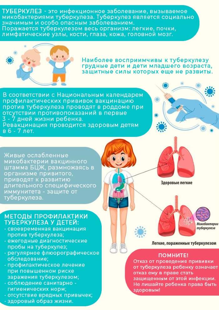 инфографика