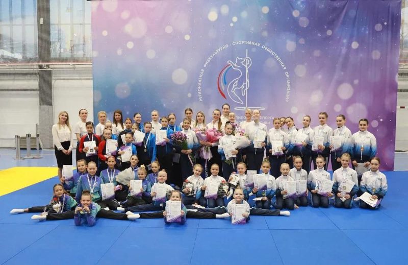 В Приамурье определили лучших в пилонном спорте