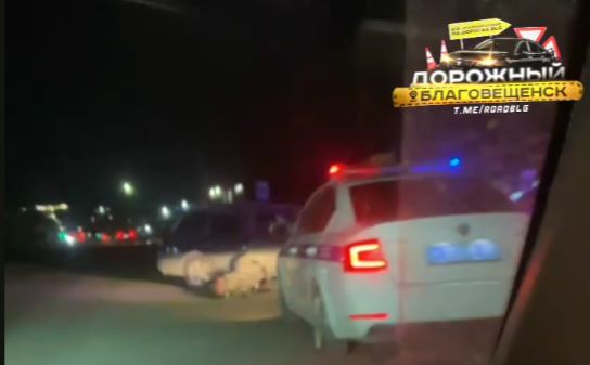 В Благовещенске мопед попал под колеса автоледи