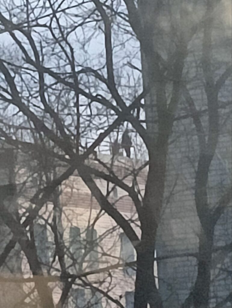 подростки на крыше