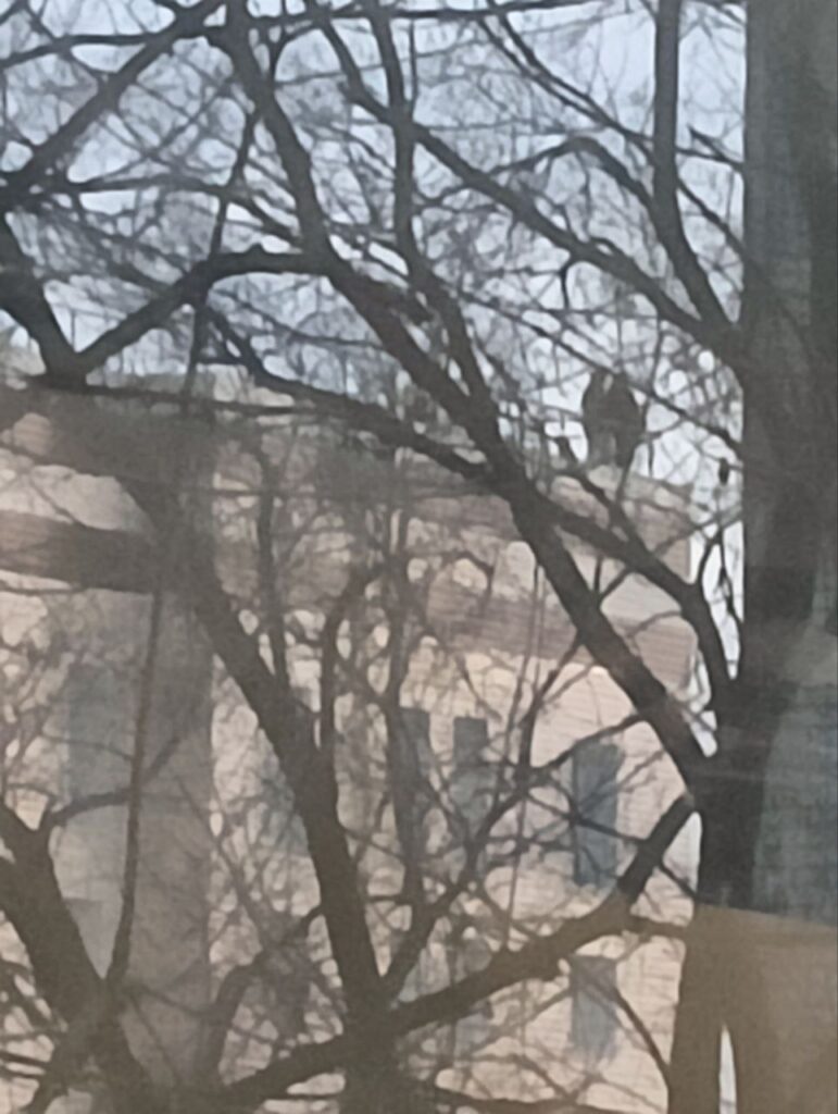 подростки на крыше