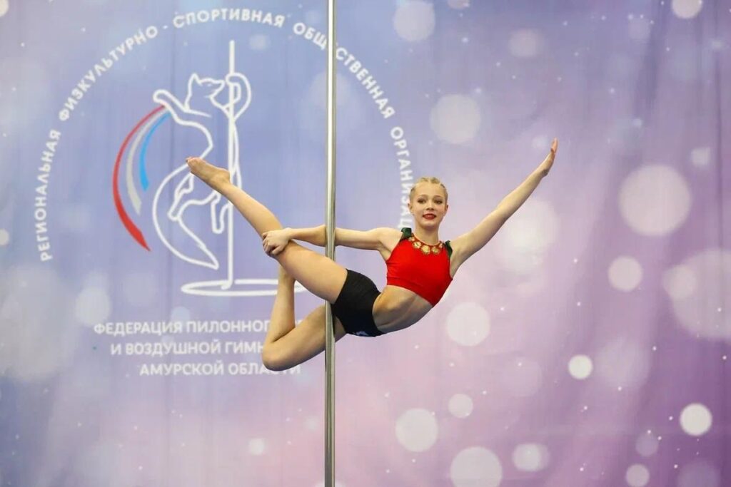 В Приамурье определили лучших в пилонном спорте