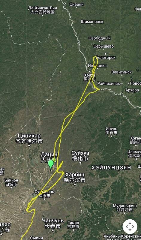 Психанул: аист не дождался весны в Приамурье и улетел обратно в Китай