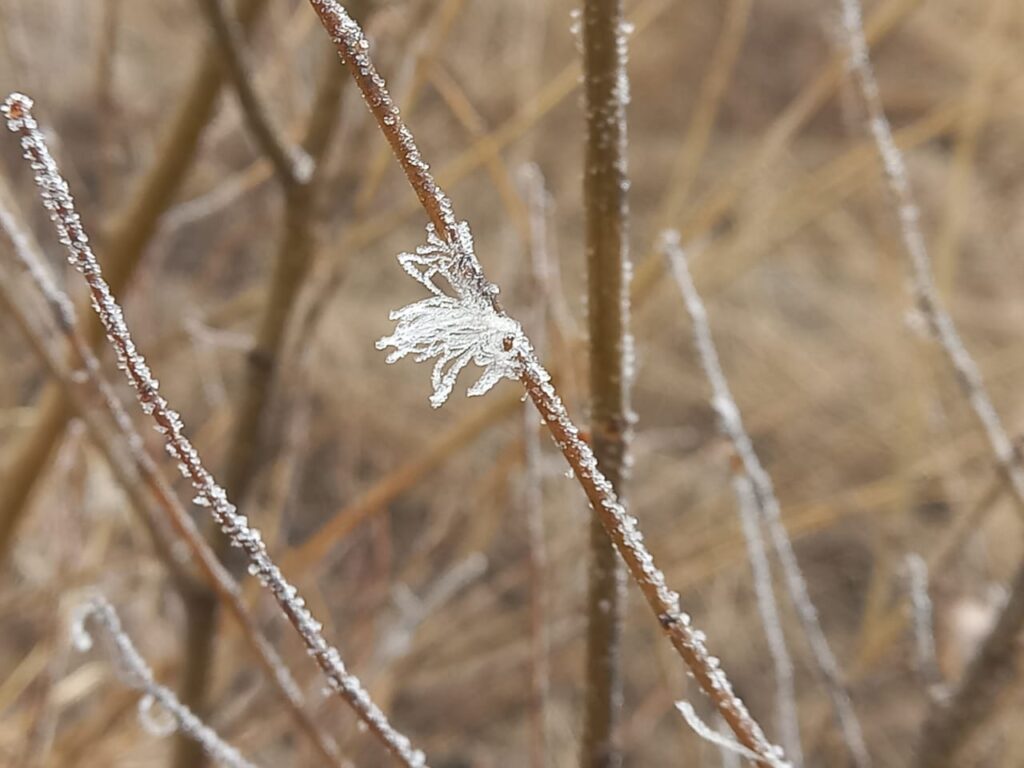 Благовещенск во мгле: густой туман накрыл город