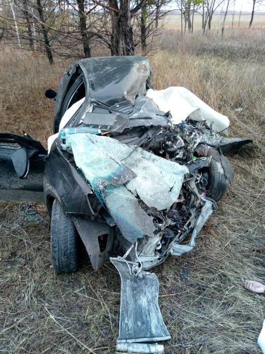Фото: Амурский центр гражданской защиты и пожарной безопасности