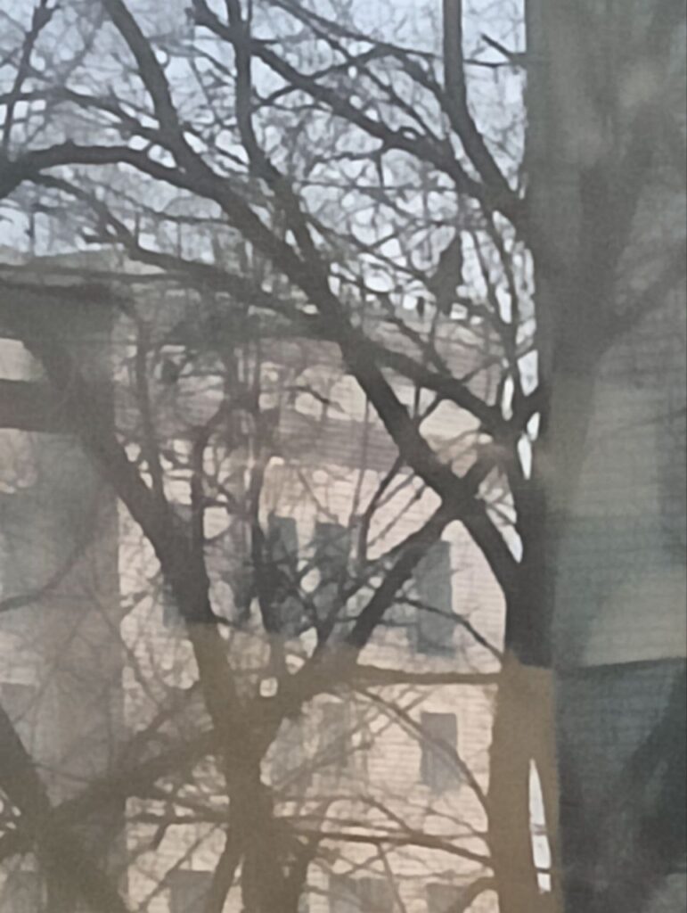 подростки на крыше