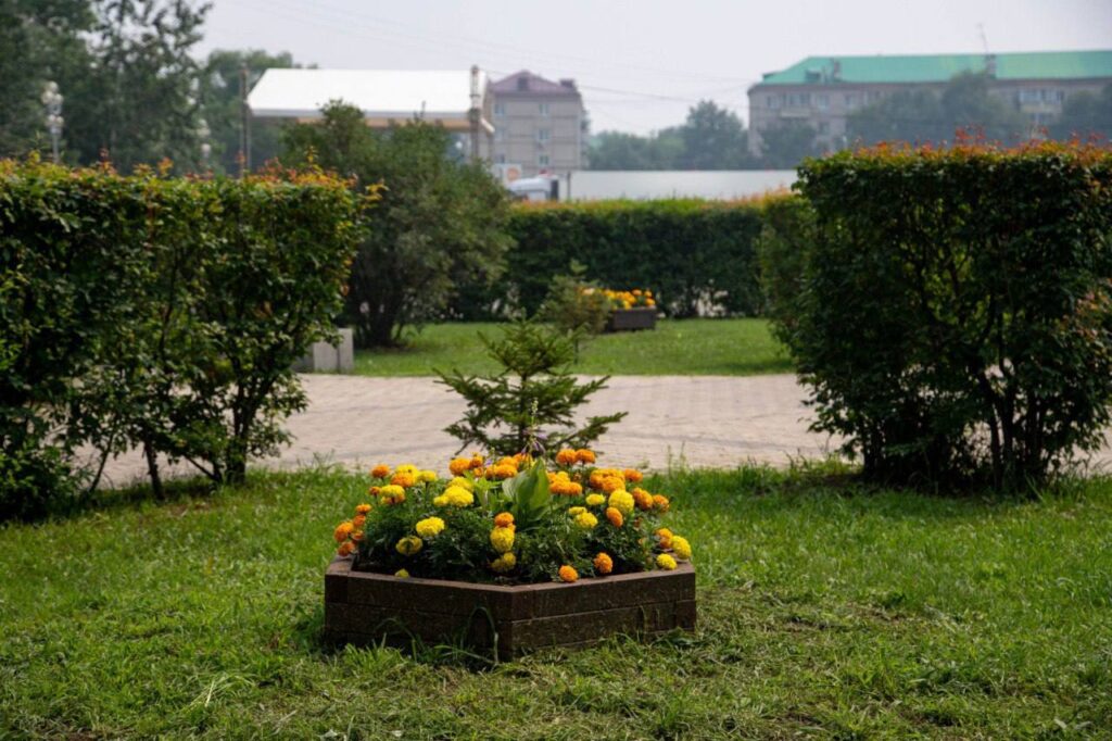 Цветы, Благовещенск