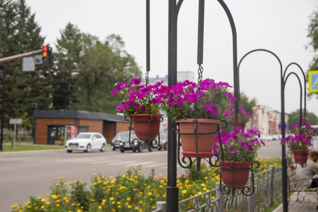 Цветы, Благовещенск