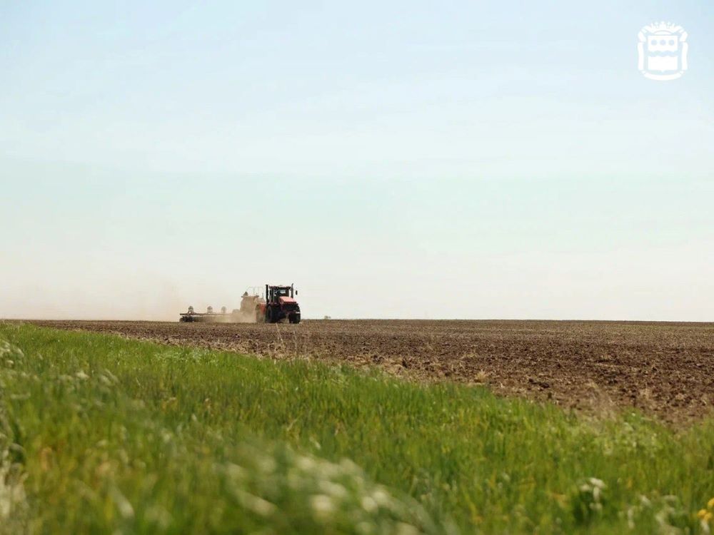 Амурская соя имеет все шансы вытеснить иностранных конкурентов 