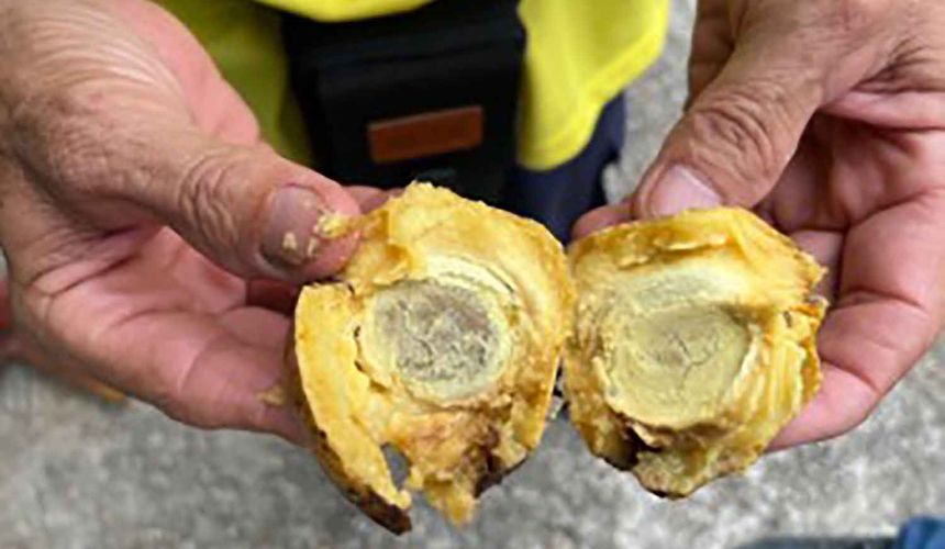 Российские туристы попали в больницу в Таиланде из-за отравления дикими фруктами