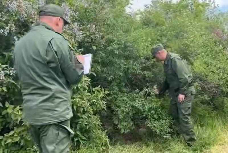 В Бердянске 14-летняя фанатка битцевского маньяка убила семилетнюю девочку