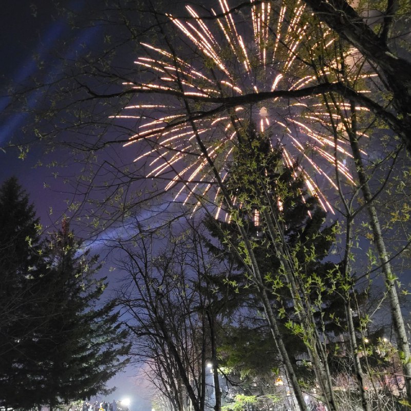В Приамурье прогремели праздничные салюты