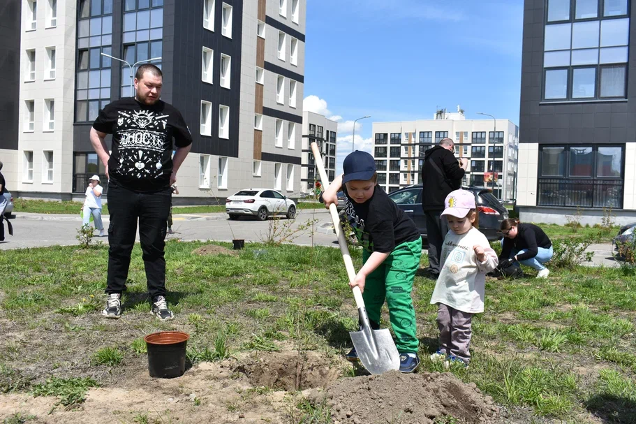В Свободном обустроили «Аллею памяти»