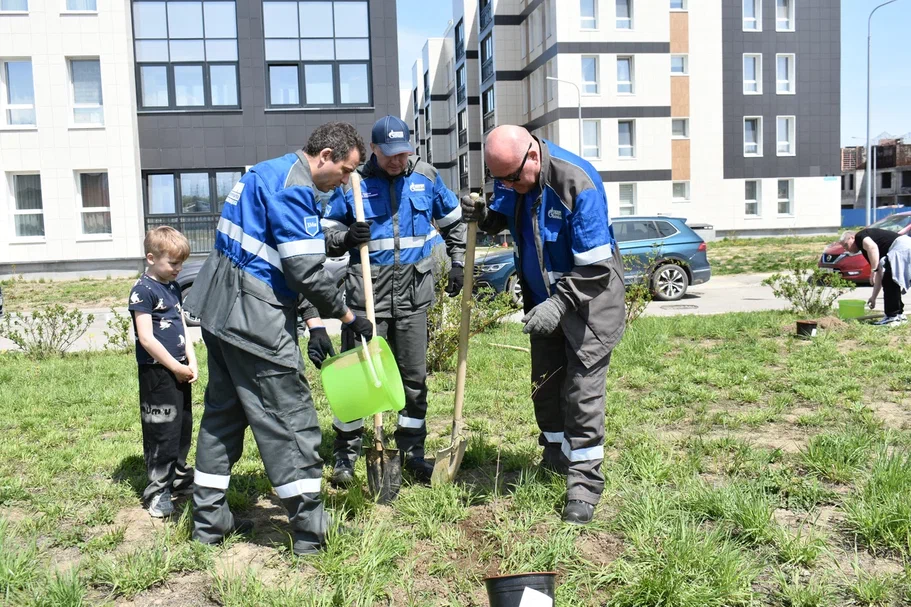 В Свободном обустроили «Аллею памяти»