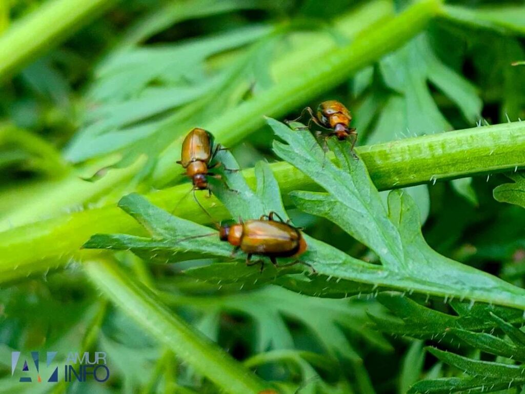 Эксперт рассказал, как правильно начать дачный сезон